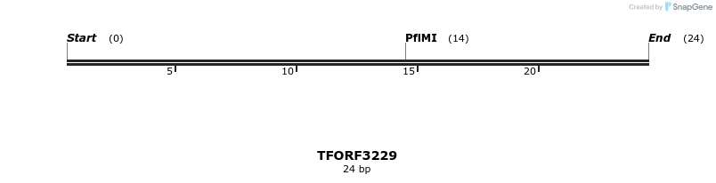 286231_map