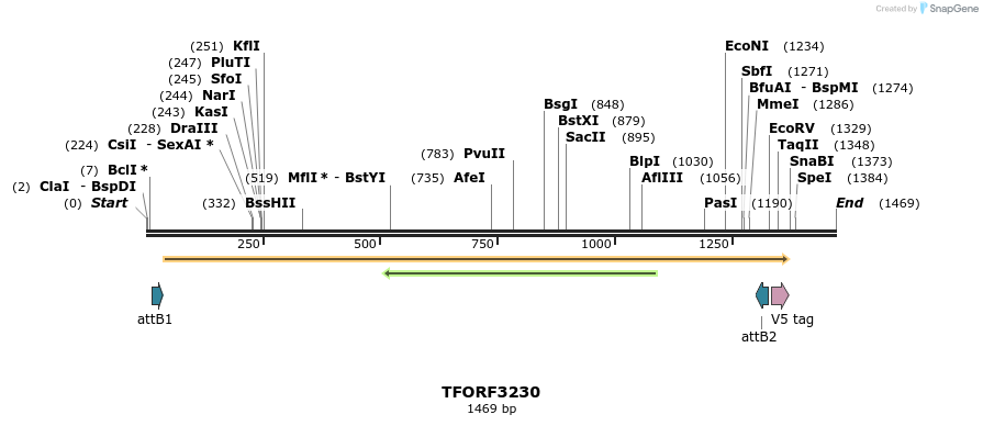 286233_map