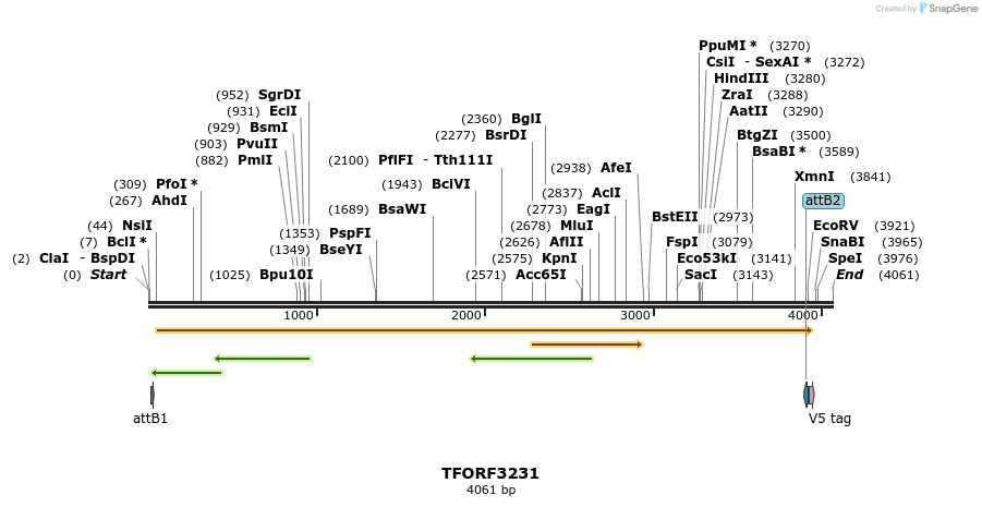 286236_map