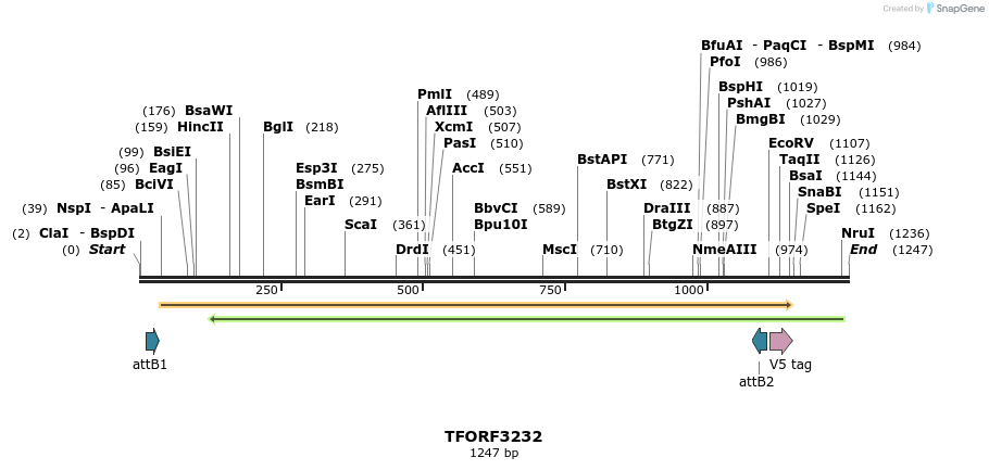 286239_map