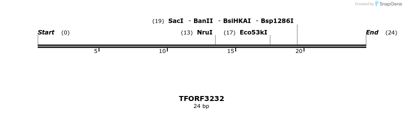 286240_map