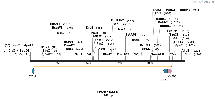 286242_map