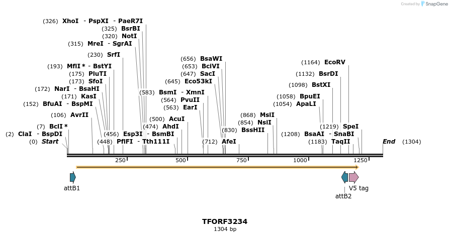 286245_map