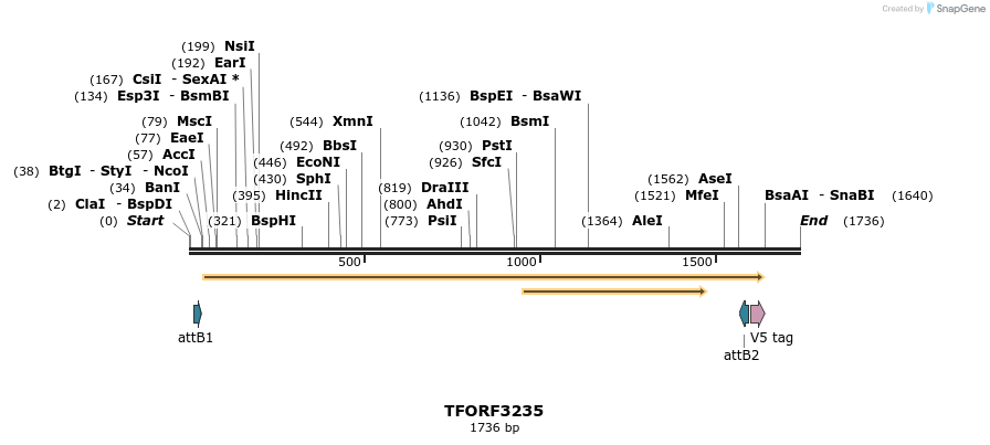 286248_map