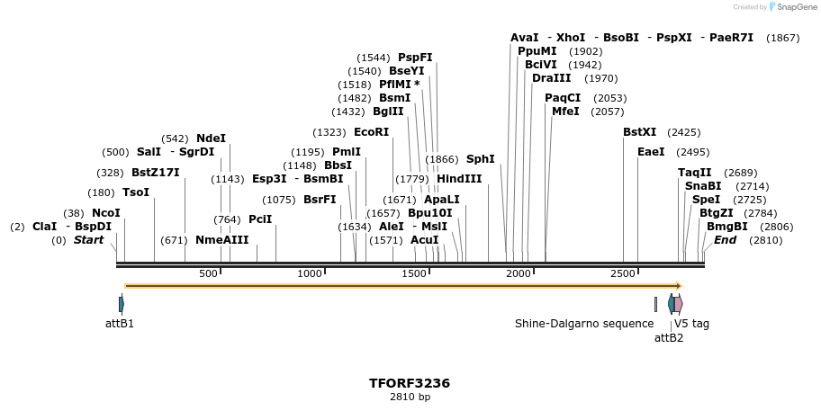 286251_map