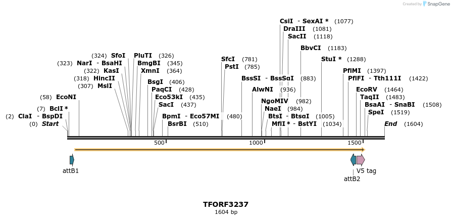 286254_map