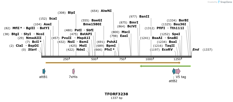286257_map