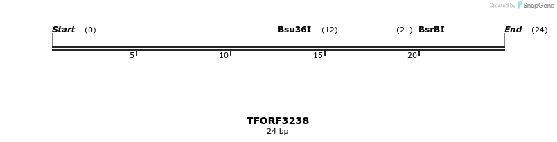 286258_map