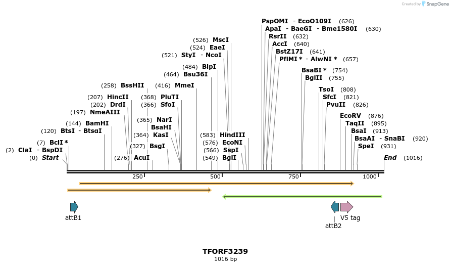 286260_map
