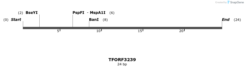 286261_map