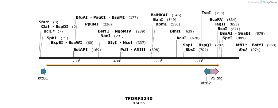 286263_map
