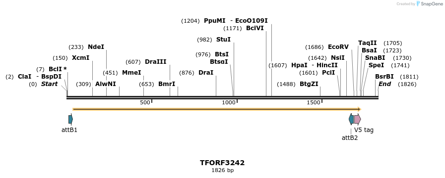 286269_map