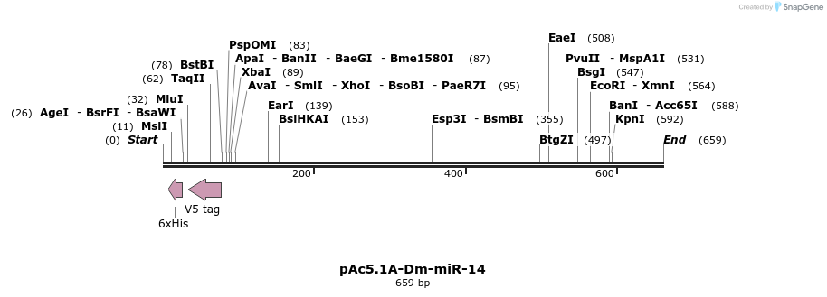 28627_map