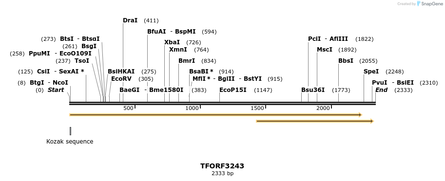 286272_map