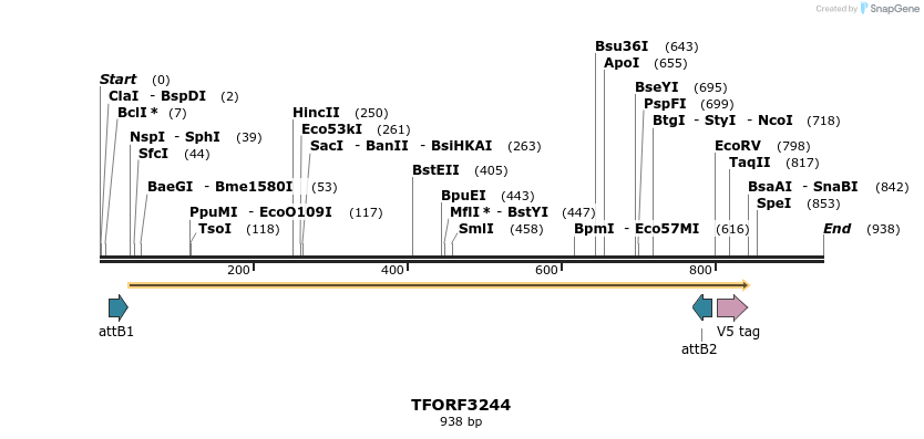 286275_map