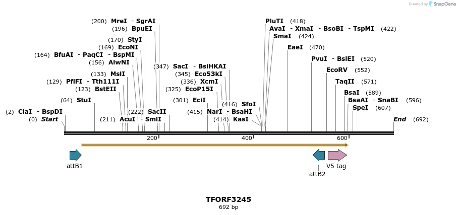 286278_map