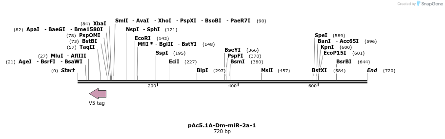 28628_map