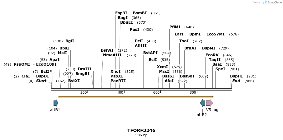 286281_map