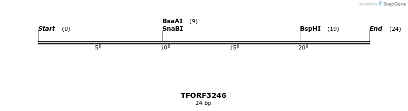 286282_map