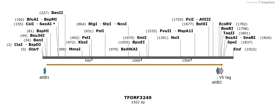 286290_map