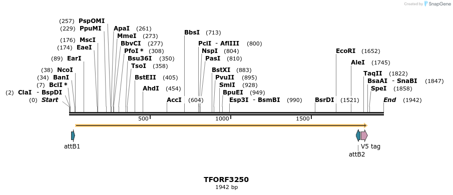 286293_map