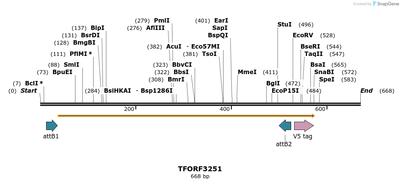 286296_map