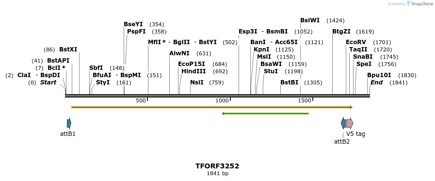 286299_map
