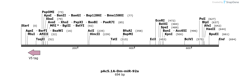 28630_map