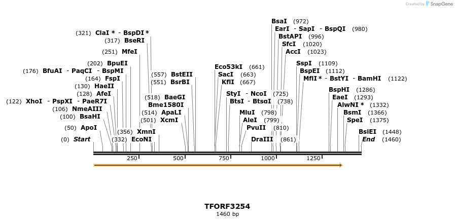 286305_map
