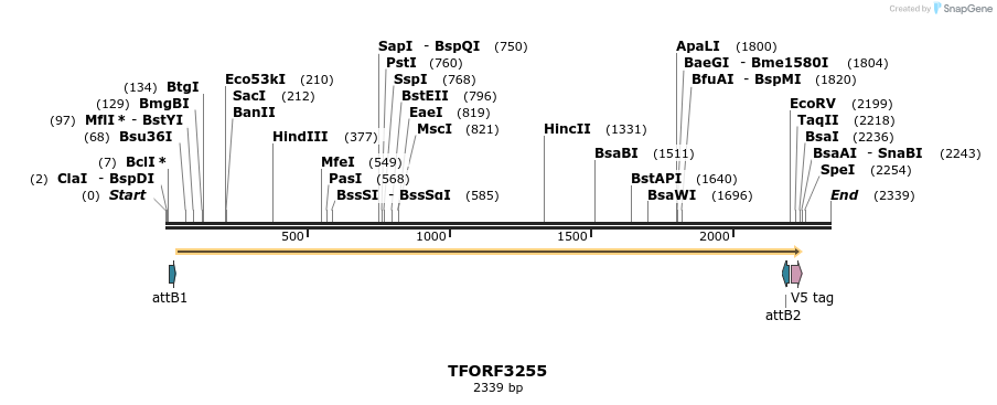 286308_map