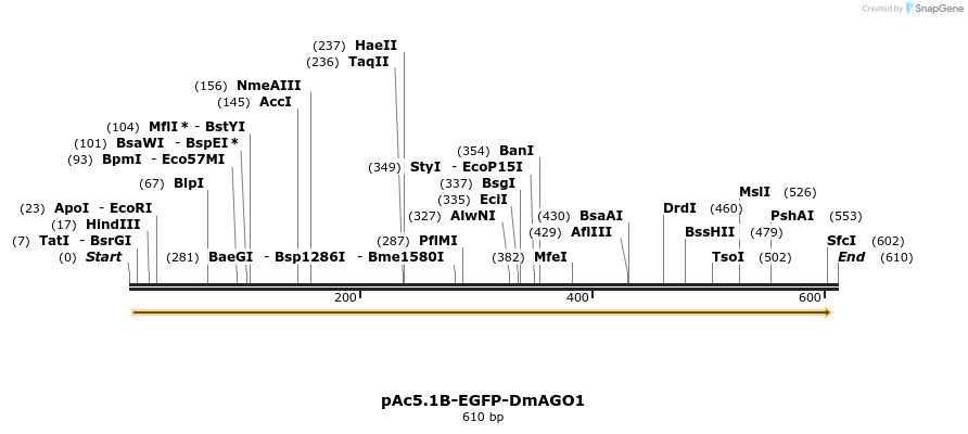 28631_map