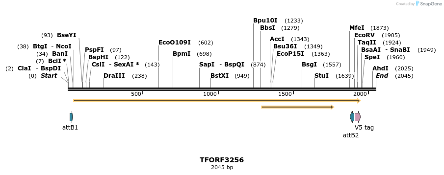 286311_map