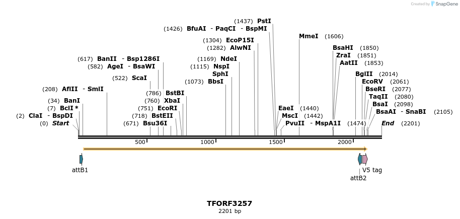 286314_map