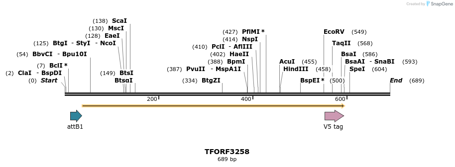 286317_map