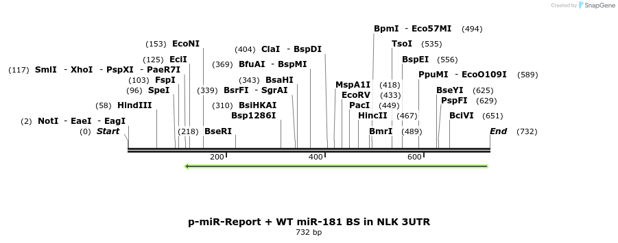 28632_map