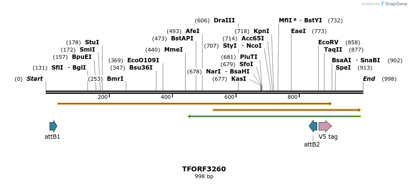 286323_map