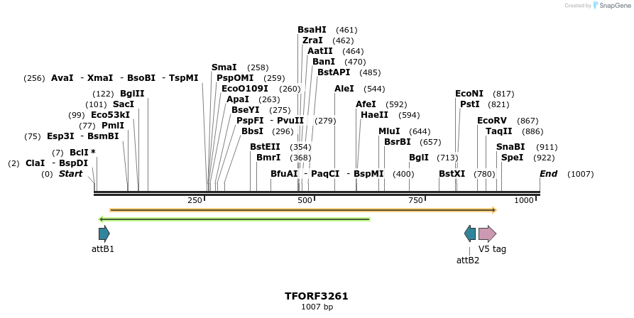 286326_map