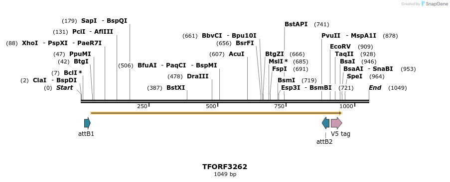 286329_map