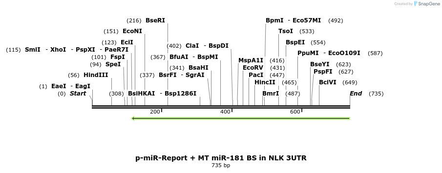 28633_map