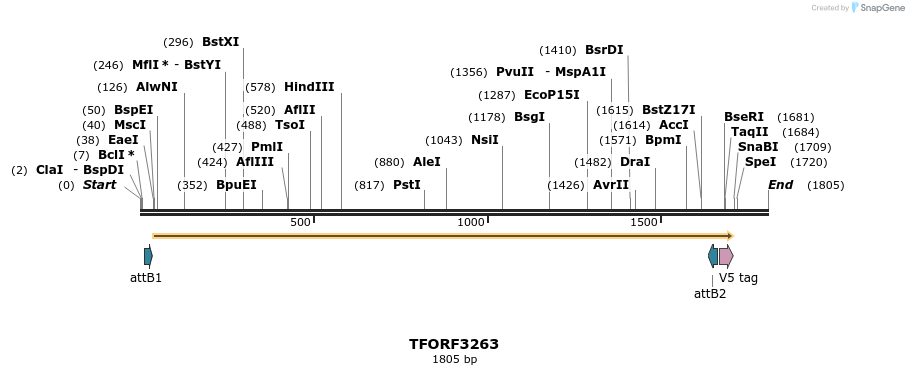 286332_map