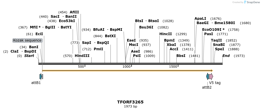286338_map