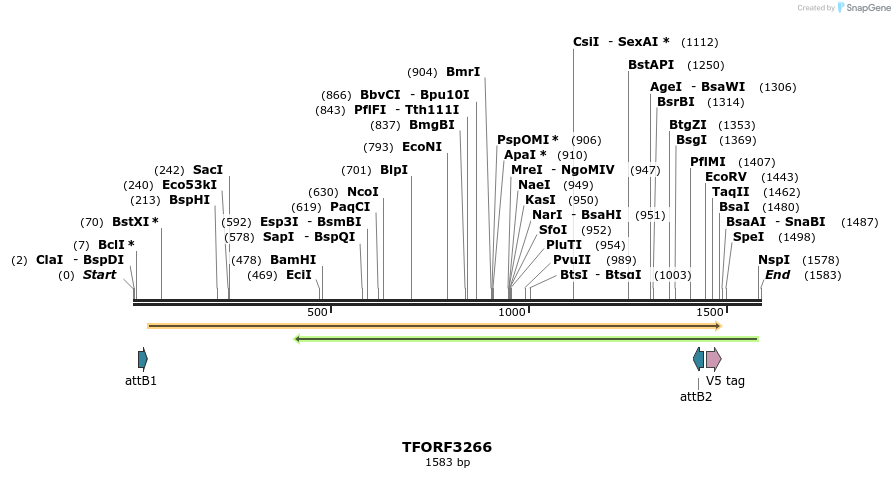 286341_map
