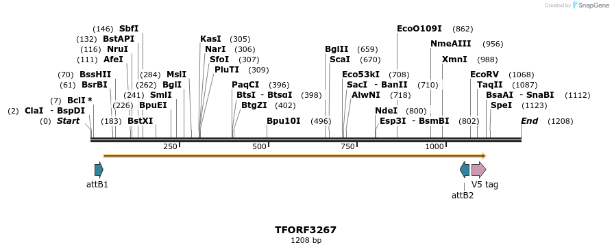 286344_map