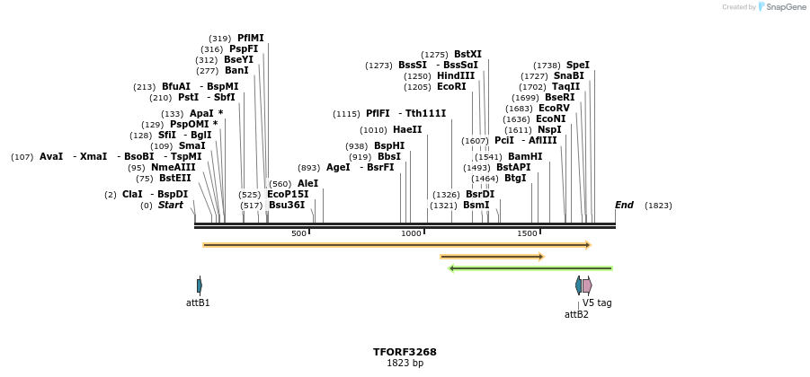 286347_map