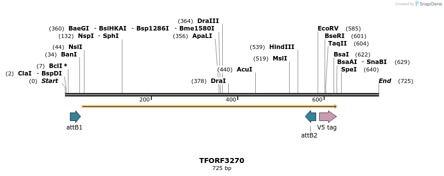 286353_map
