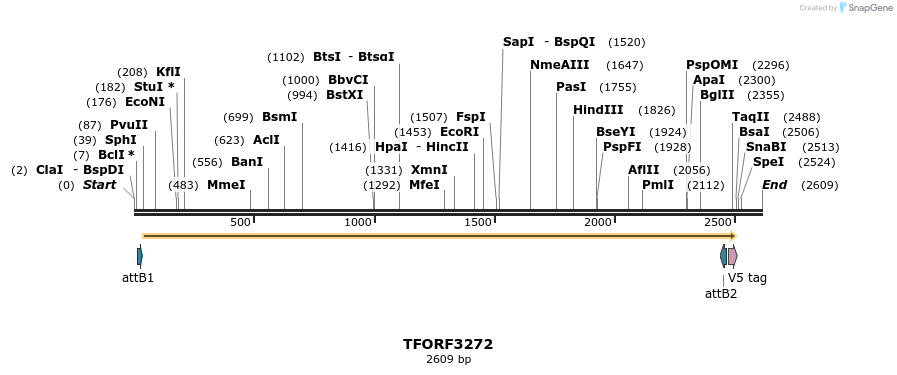 286359_map