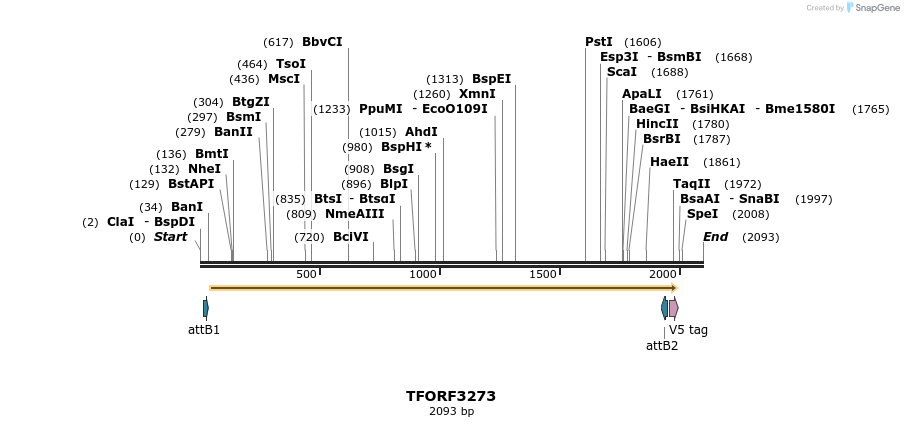 286362_map