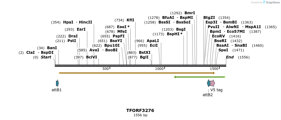 286371_map