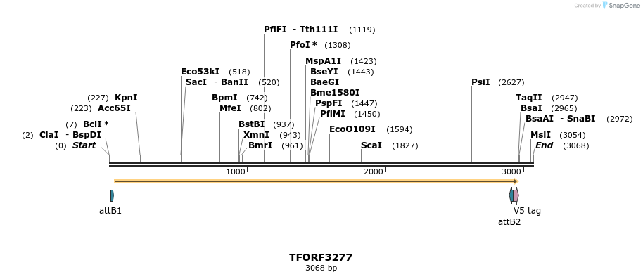286374_map