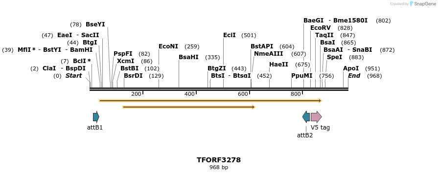 286377_map